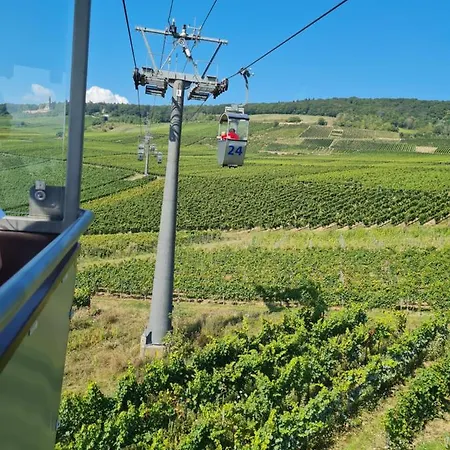 Ruedesheimer Hof Ruedesheim am Rhein