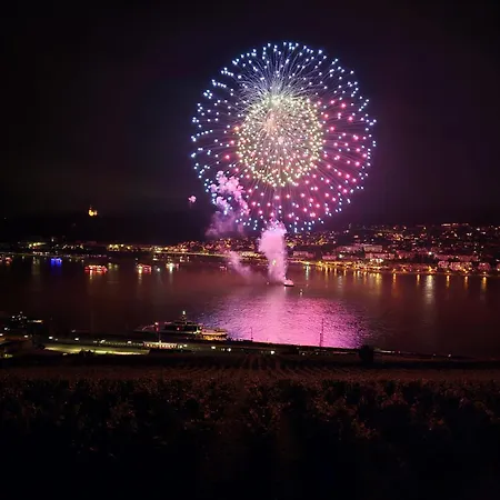 Hotel Ruedesheimer Hof 3*