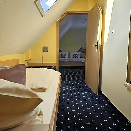 Ruedesheimer Hof فندق روديسهايم ام رين