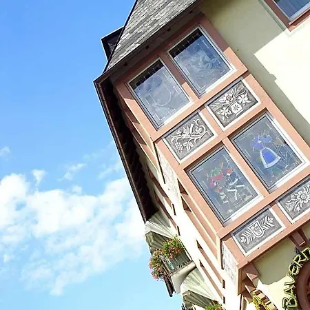 Ruedesheimer Hof فندق روديسهايم ام رين