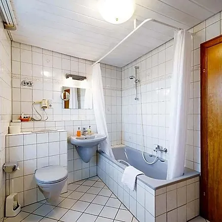 Ruedesheimer Hof Hotel