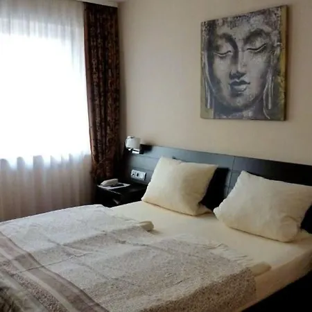 فندق Ruedesheimer Hof 3*