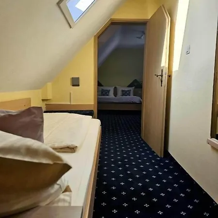 فندق Ruedesheimer Hof روديسهايم ام رين