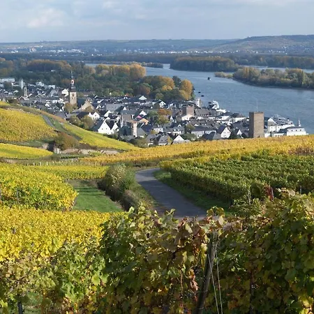 Ruedesheimer Hof Hotel Rüdesheim am Rhein