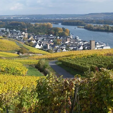 Rüdesheimer Hof Hotel Rüdesheim am Rhein