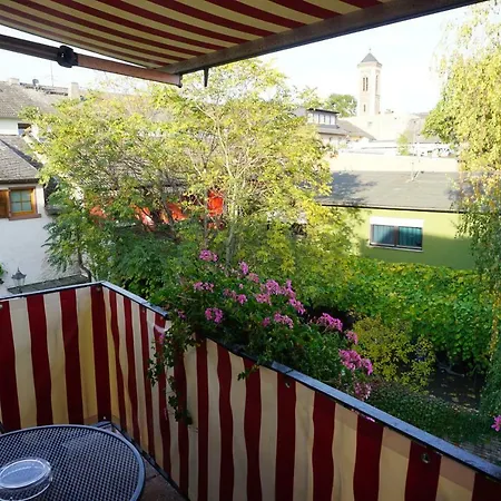 Hotel Rüdesheimer Hof 3*