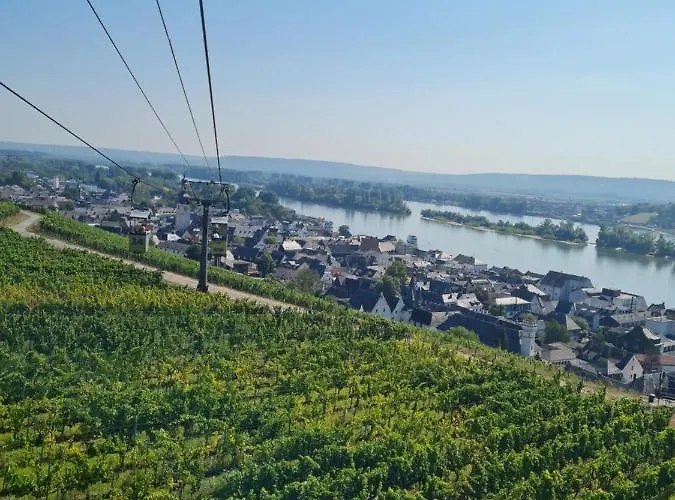 Отель Ruedesheimer Hof