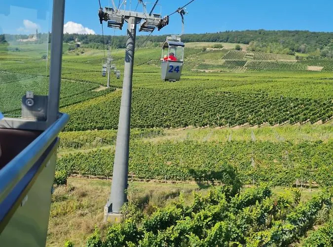 Ruedesheimer Hof Rüdesheim nad Renem