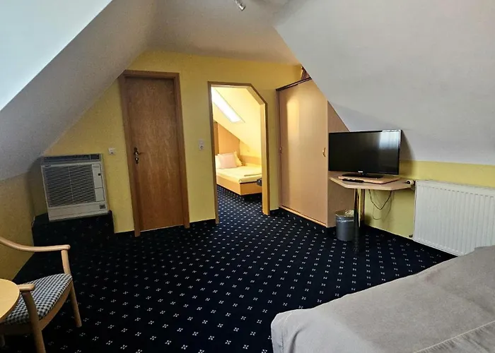 Отель Ruedesheimer Hof 3*