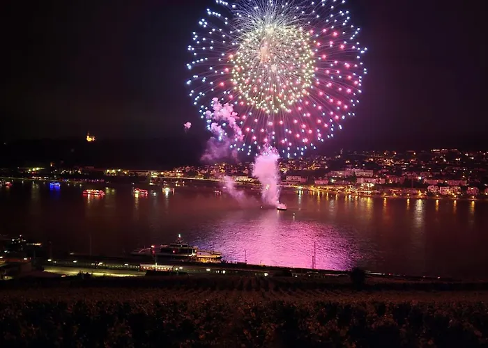 Hotel Ruedesheimer Hof 3*