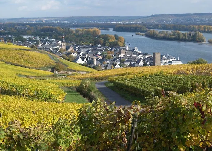 Ruedesheimer Hof Hotel Ruedesheim am Rhein